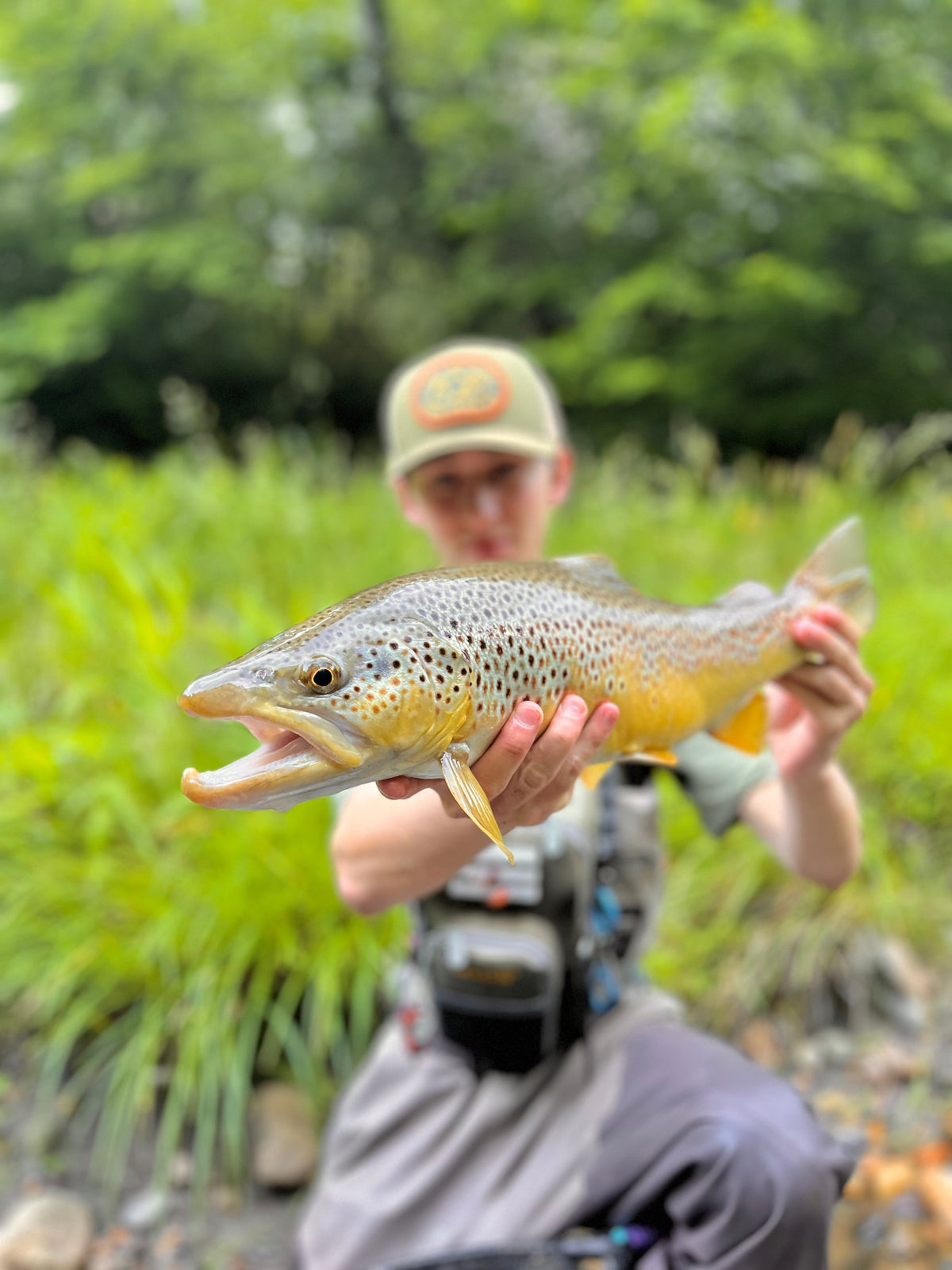 A person holding a big brown trout