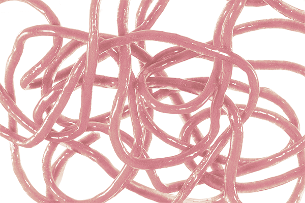 Trina's Squirm Material