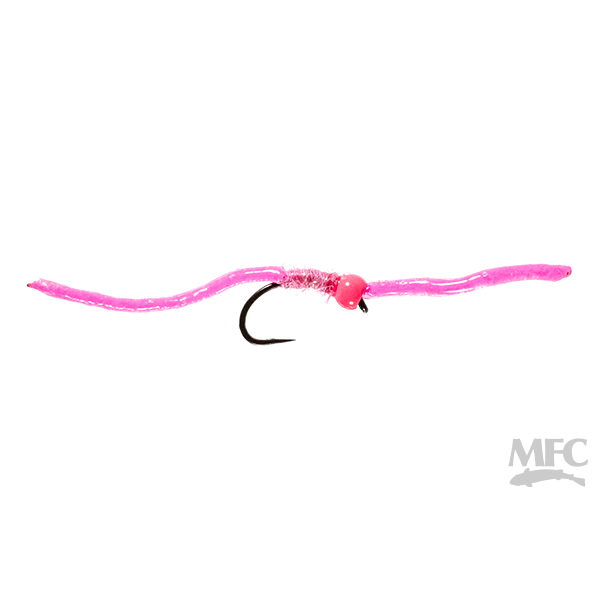 MFC - Trina's Worm
