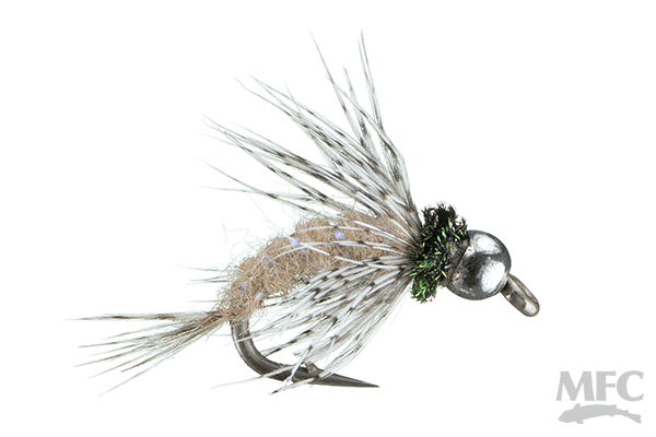 MFC - Anderson's Bird of Prey - Tan