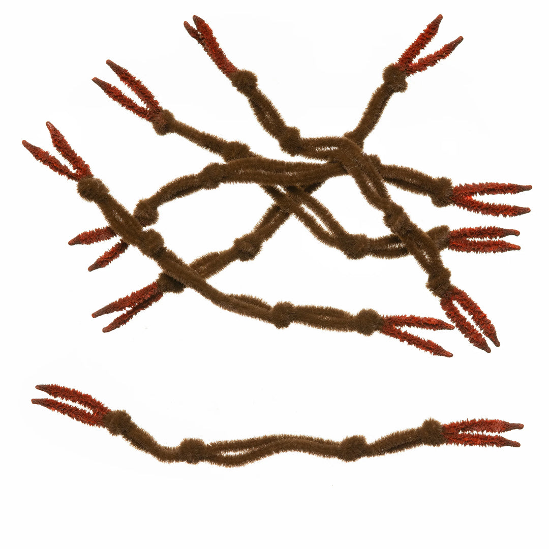 EP Crab Claw - Brown (All Sizes)