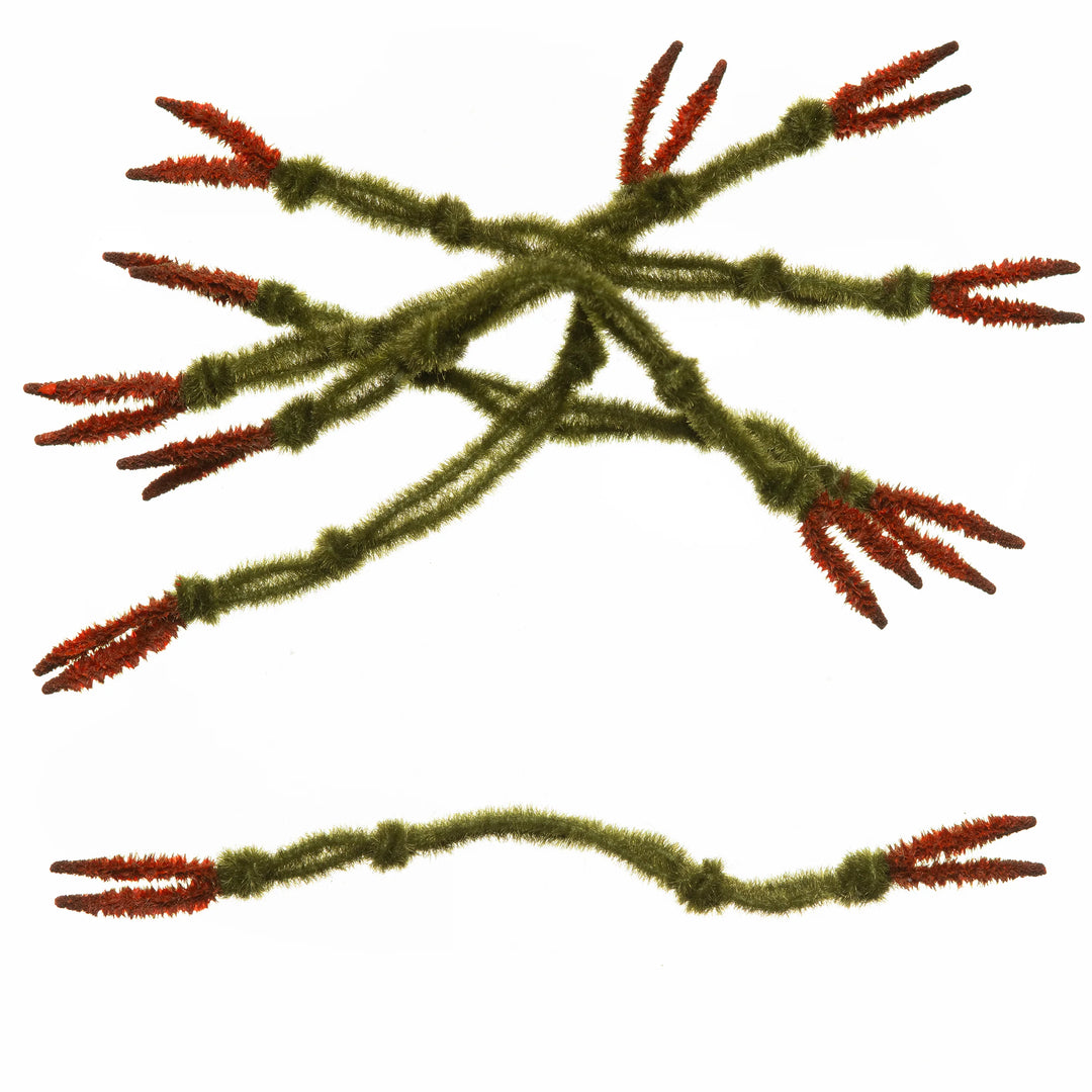 EP Crab Claw - Olive (All Sizes)