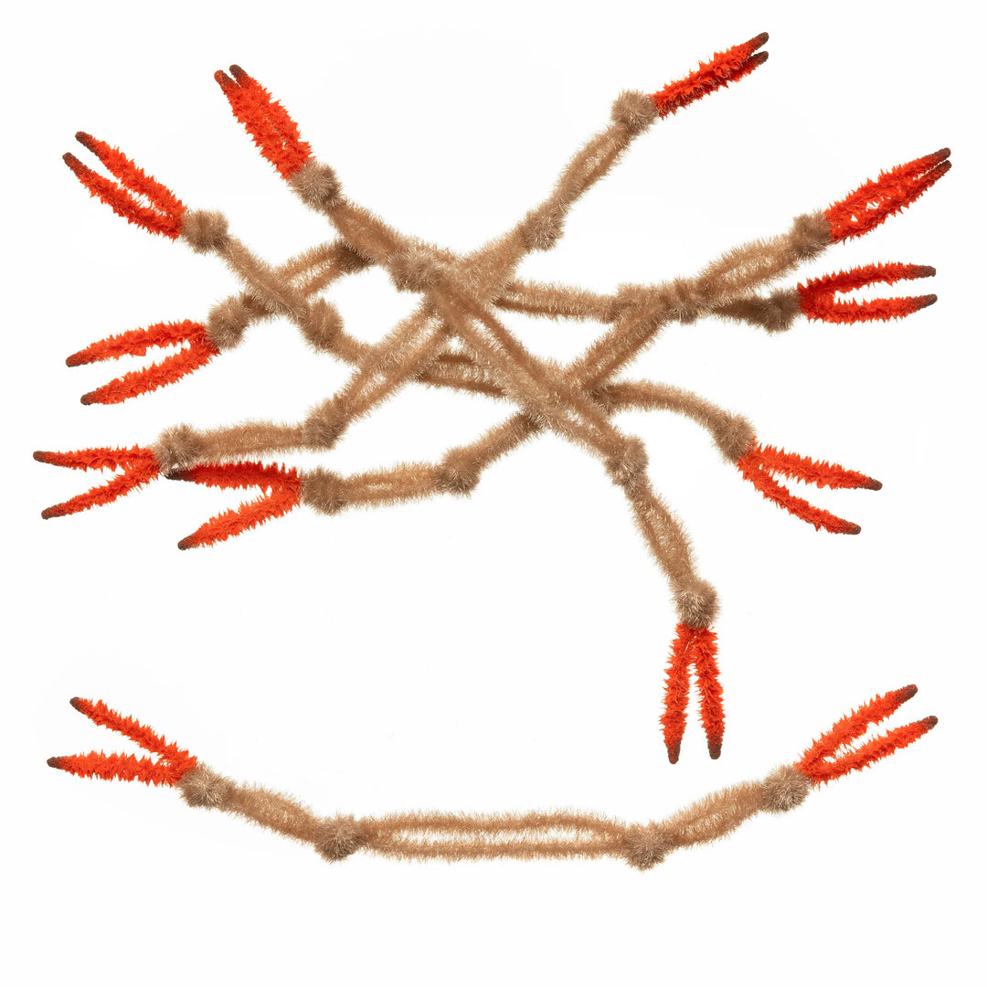 EP Crab Claw - Tan (All Sizes)