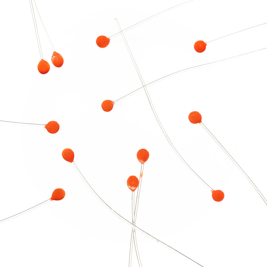 EP Crab & Shrimp Eyes