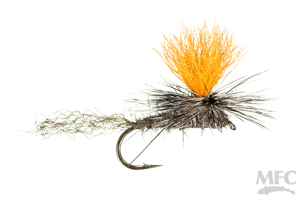 MFC - Baltz's Hi-Vis Paranymph