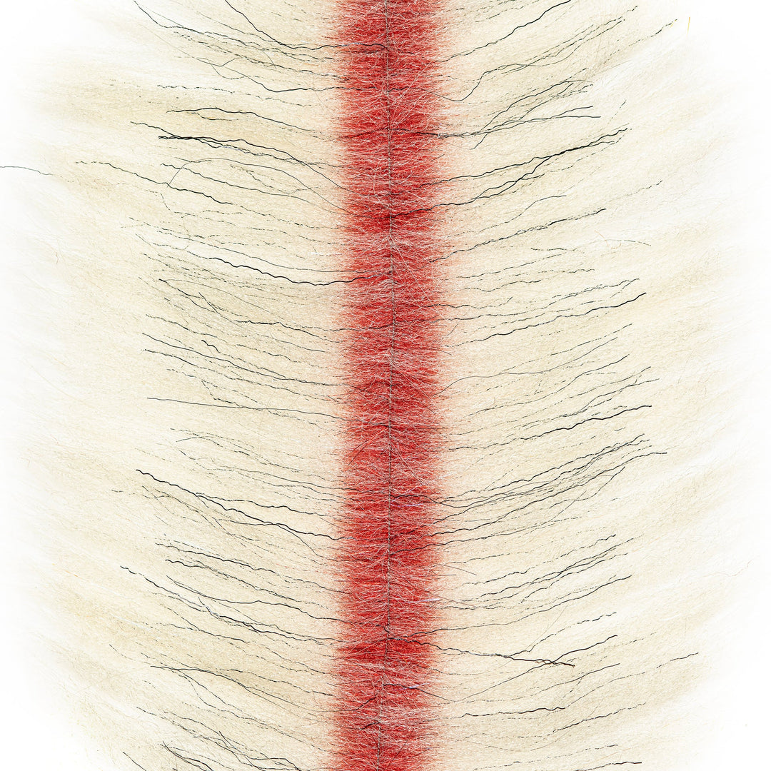 EP ZE-Brush (6pk) - All Colors &amp; Sizes
