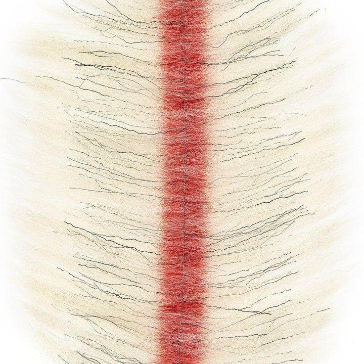 EP ZE-Brush (6pk) - All Colors &amp; Sizes