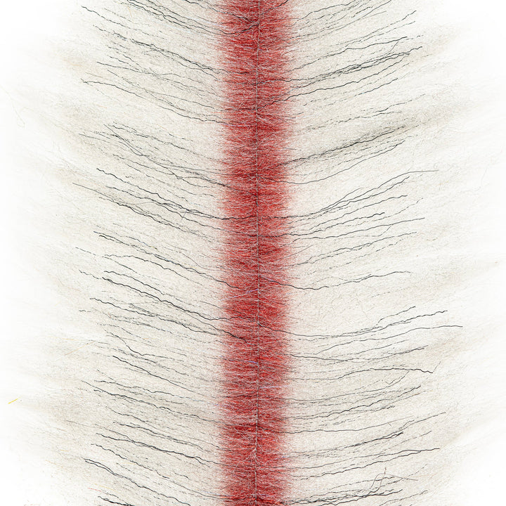 EP ZE-Brush (6pk) - All Colors &amp; Sizes