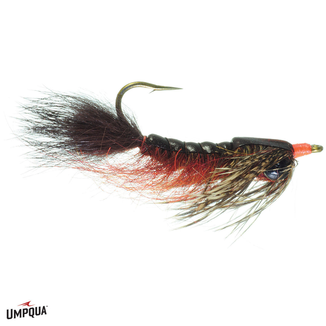 Umpqua - Barry's Carp Fly