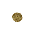 Bead Chain - Gold (All Sizes)
