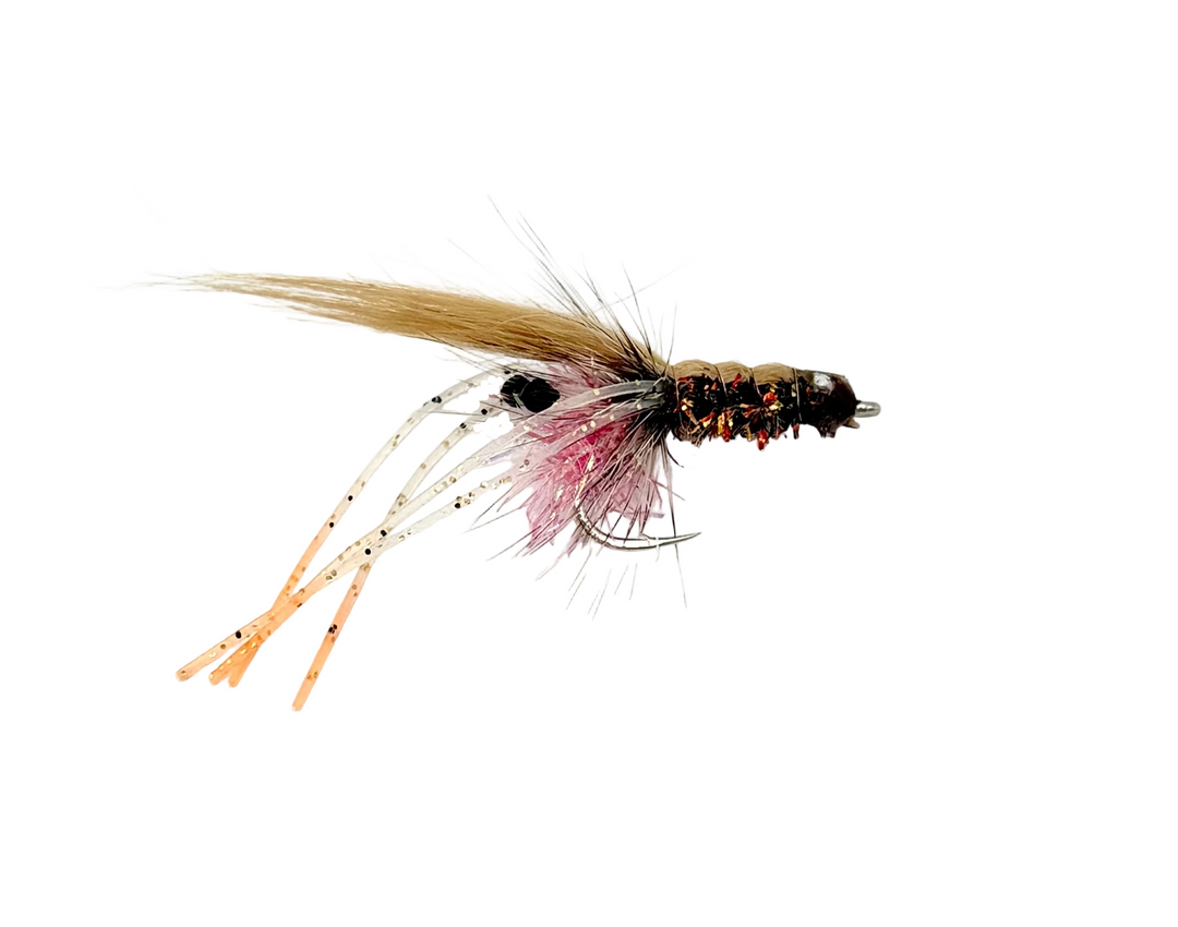 Pnut Shrimp 