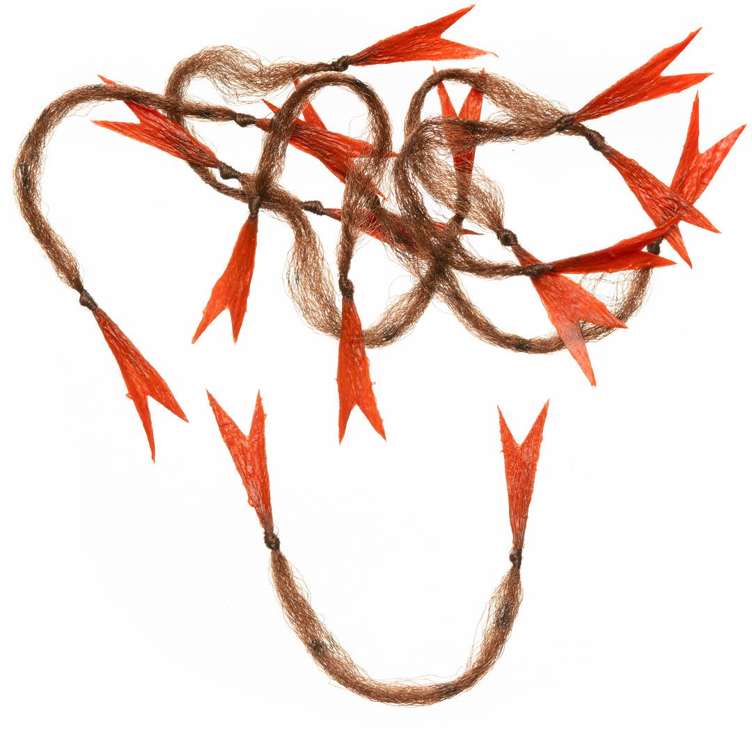 EP CRUSTACEOUS CLAW