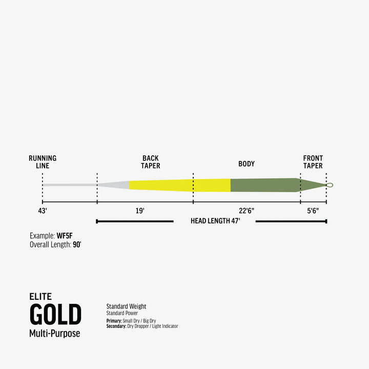 Coiled Elite Rio Gold floating fly line featuring tricolor moss green, yellow, and gray design
