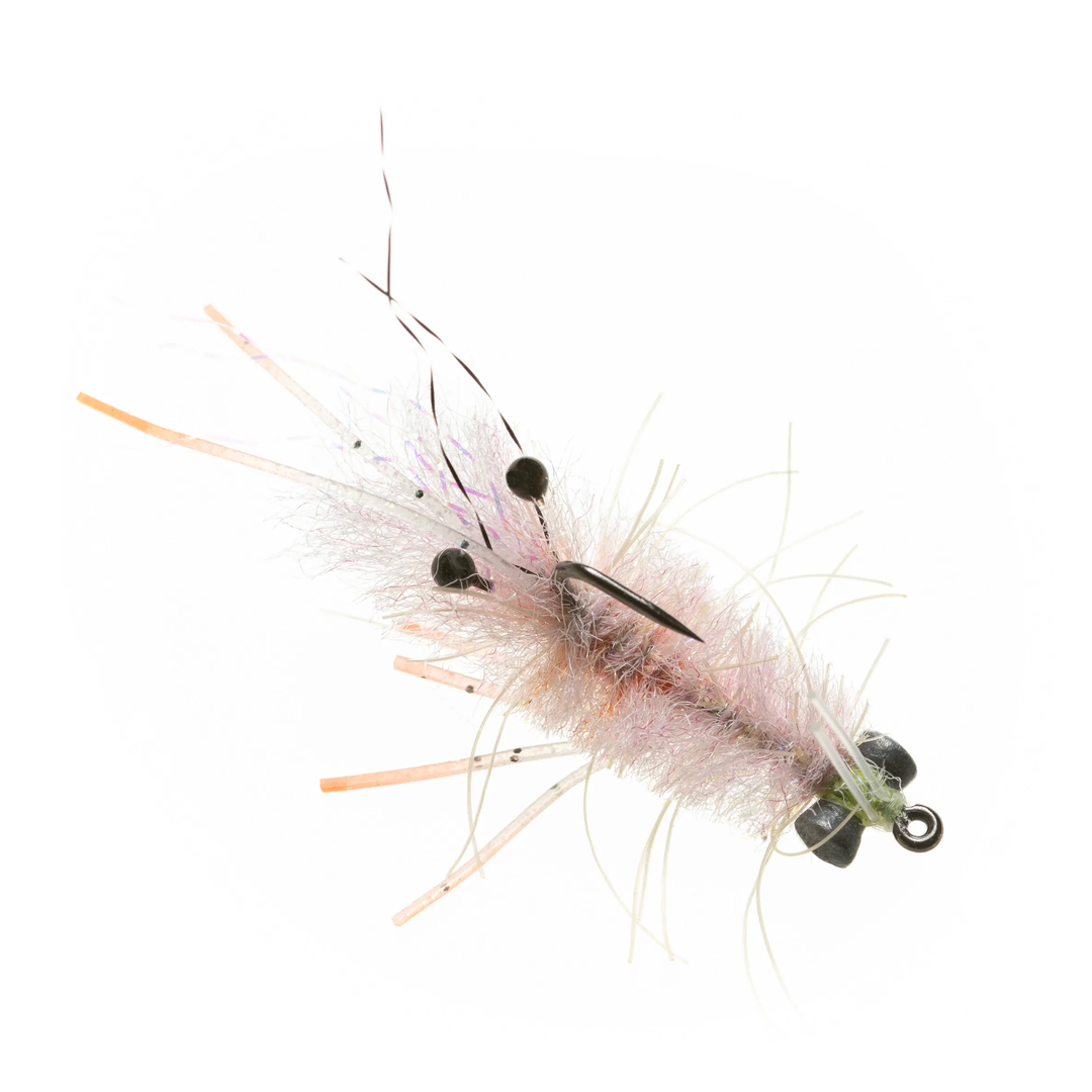 Enrico Puglisi Mantis Shrimp - Pink