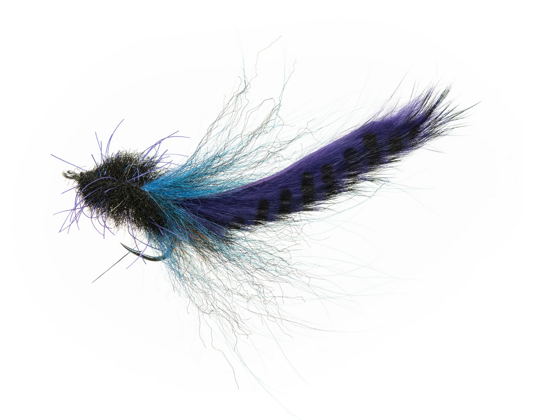 Enrico Puglisi - SP Bunny - Purple &amp; Blue 