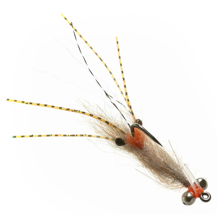 Enrico Puglisi Spawning Shrimp - Root Beer