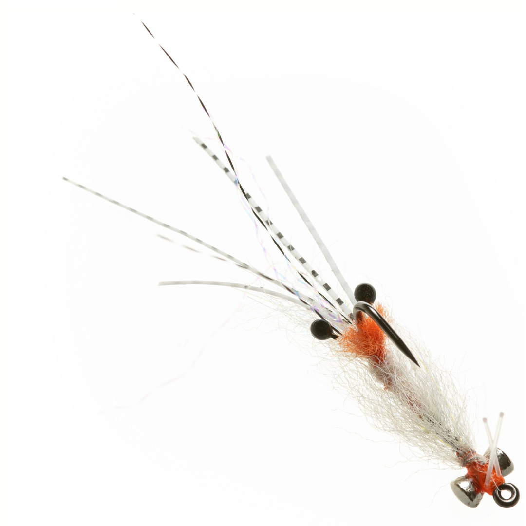 Enrico Puglisi Spawning Shrimp - Transparent