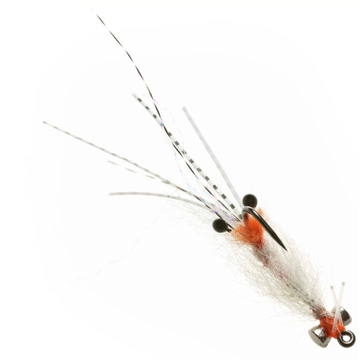 Enrico Puglisi Spawning Shrimp - Transparent