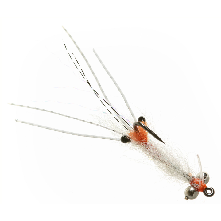 Enrico Puglisi Spawning Shrimp - Transparent