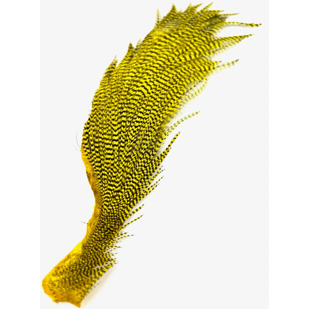 Bright yellow-gold Ewing Grizzly Half Cape hackle with sharp black bars
