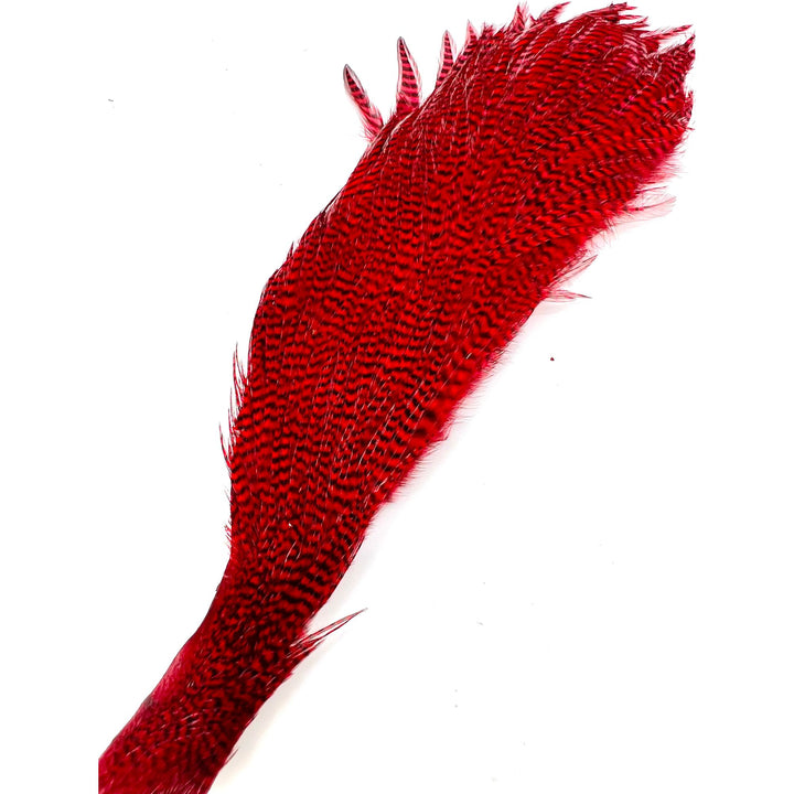 Vibrant red dyed Ewing Grizzly Half Cape feather for fly tying