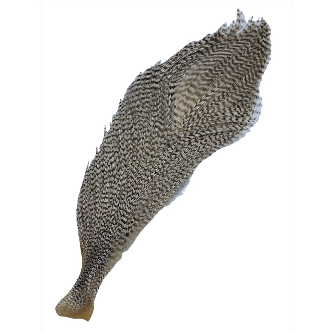 Grey and cream alternating band Ewing Grizzly Half Cape feather detail