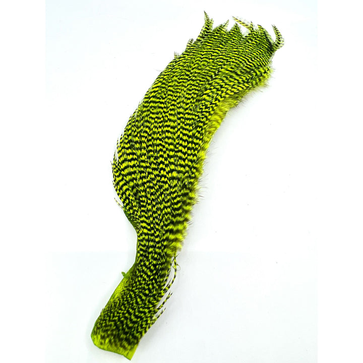 Lime green chartreuse Ewing Grizzly Half Cape hackle with black stripes