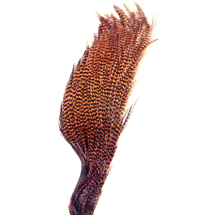 Rich mahogany reddish-brown Ewing Grizzly Half Cape with fine black bars