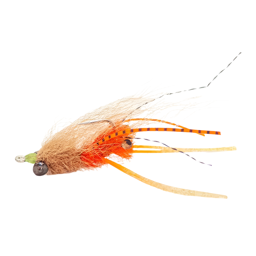 FS Squimpish Shrimp L/Y 