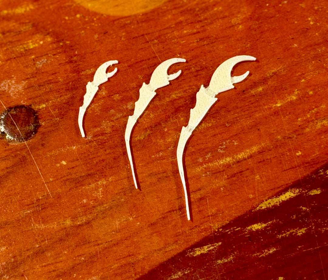 Flats Craft - The Claw - Natural