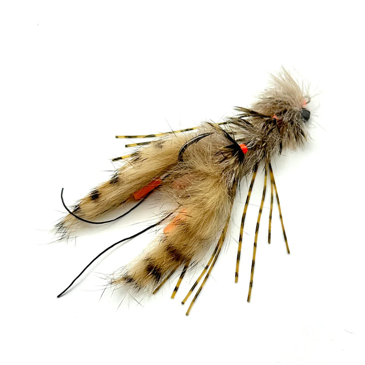 Close-up of articulated tan and black spotted Next Claw Changer crayfish fly