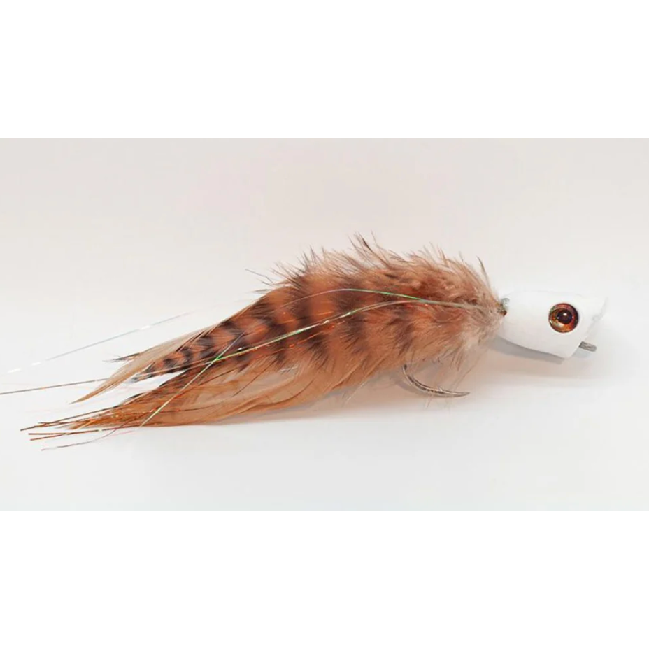 White GT/Peacock Popper fly with brown hackle body and amber eye