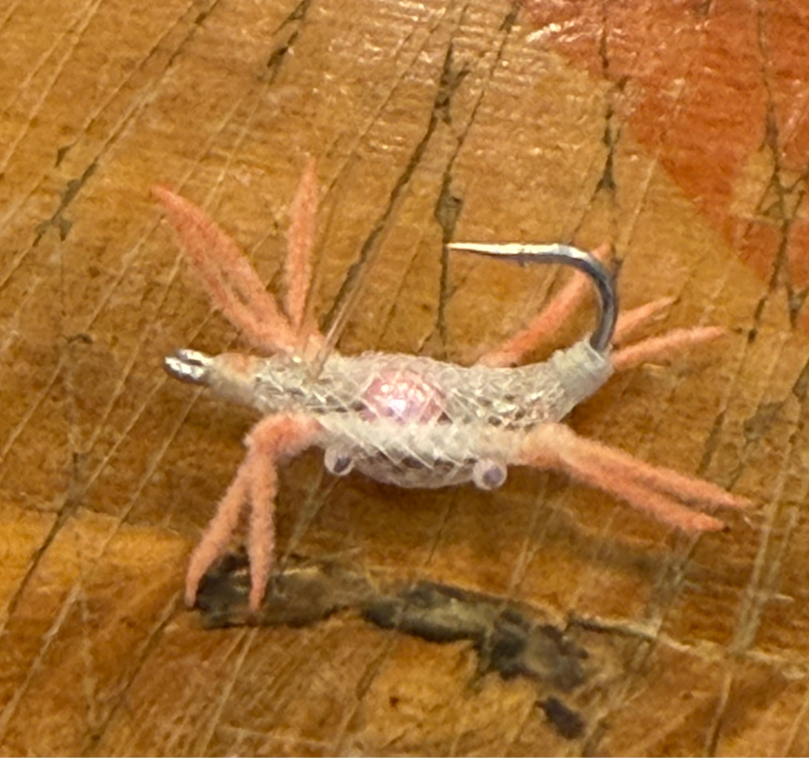 UMPQUA COCKROACH LARGE