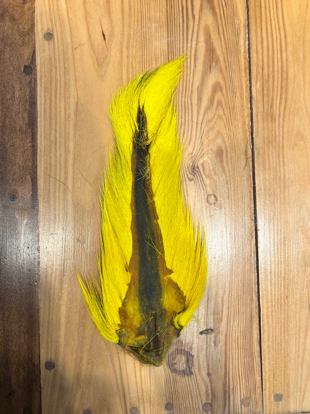 Bright yellow large Northern bucktail fly tying material