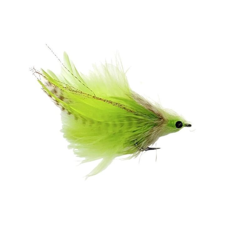 Umpqua Laid-Up Tarpon fly in chartreuse with bushy over-hackled body and gold ribbing