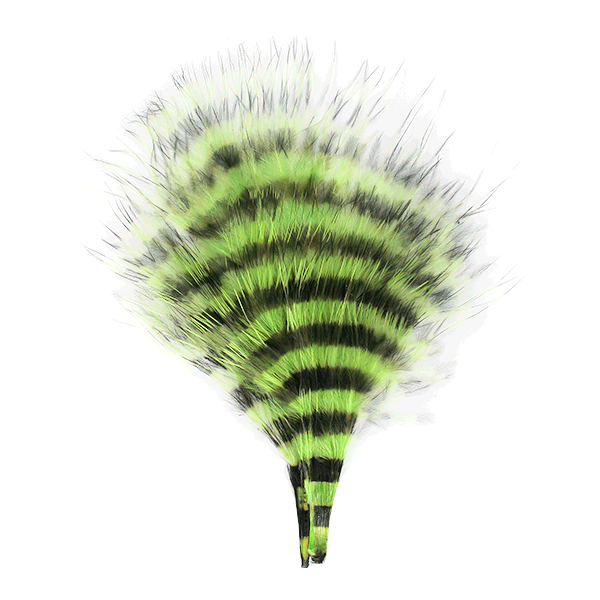 Neon lime green and black barred marabou for fishing lures