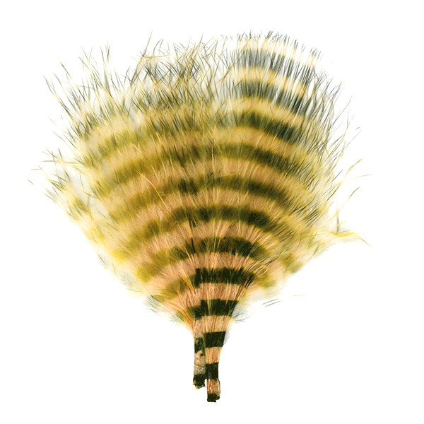 Close-up of olive green and tan barred marabou feather texture