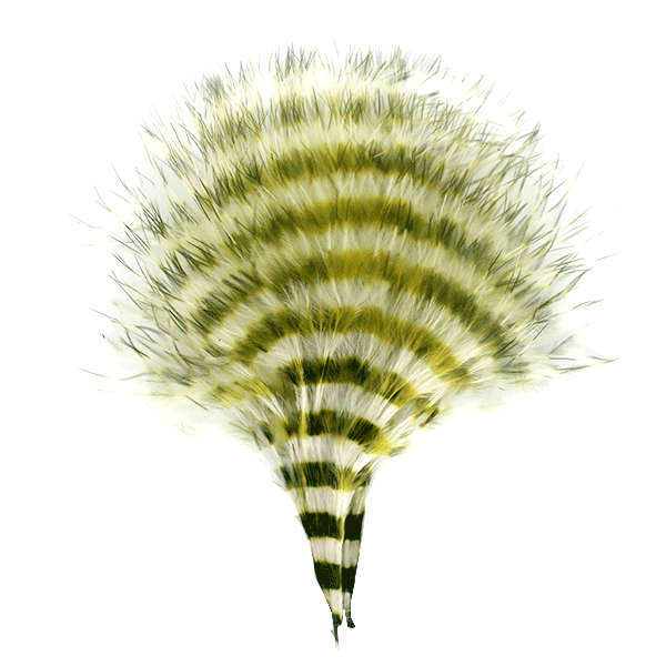 Olive green and cream barred marabou feather tuft for fly tying