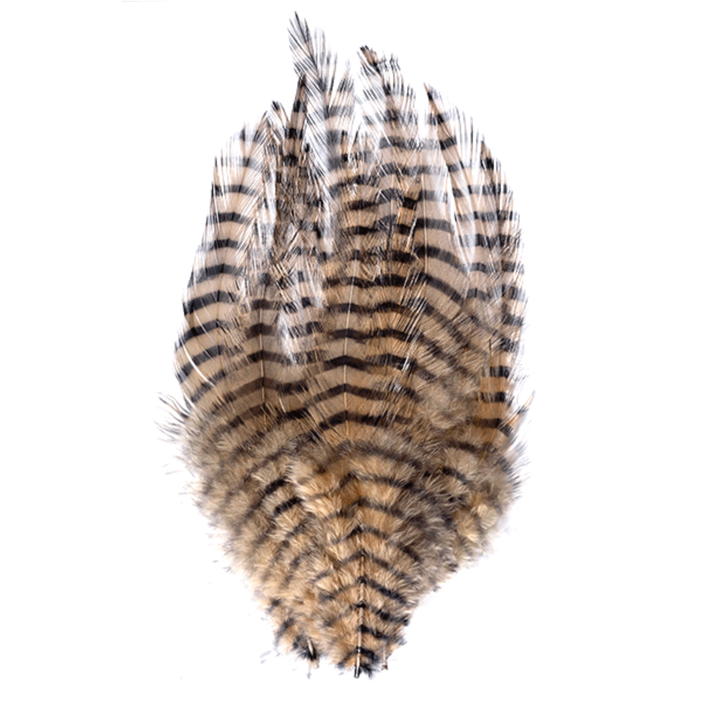 MFC Barred Saddle Hackle - All Colors