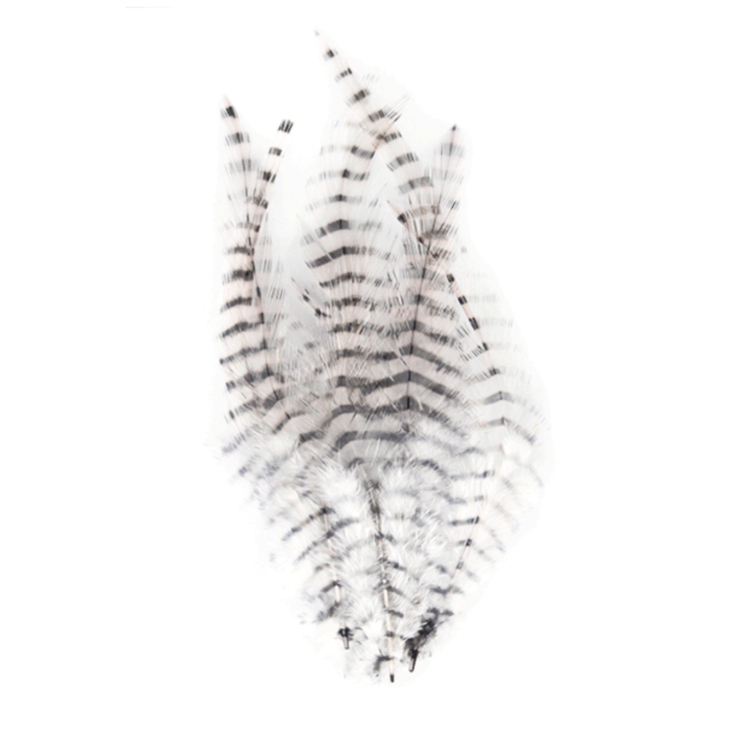 MFC Barred Saddle Hackle - All Colors