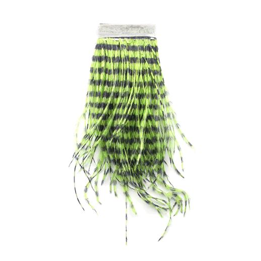 Lime green and black strung barred ostrich feathers for fly tying