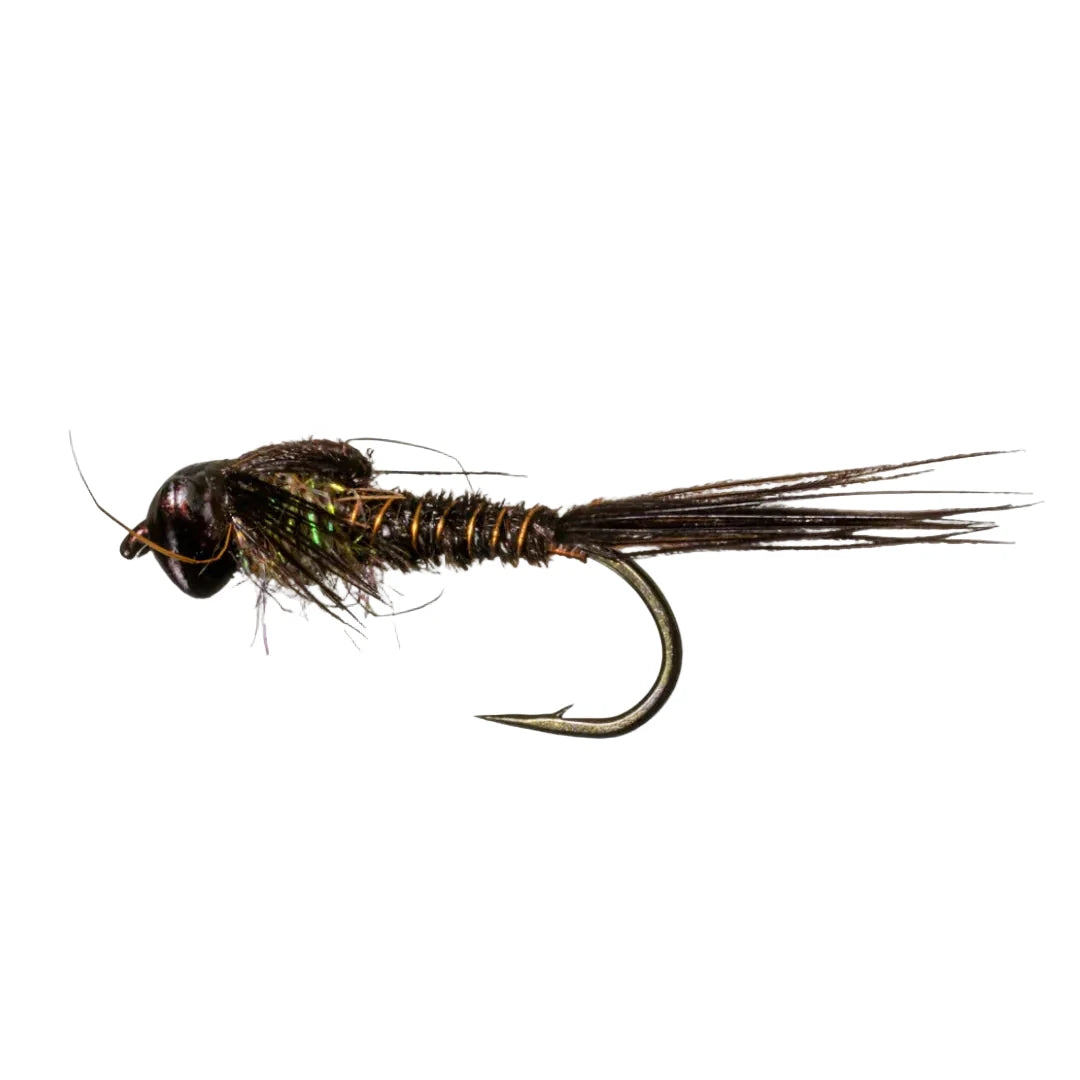Brown Nymph-Head Evolution Mayfly Pheasant Tail fly with metallic beadhead and green tinsel ribbing