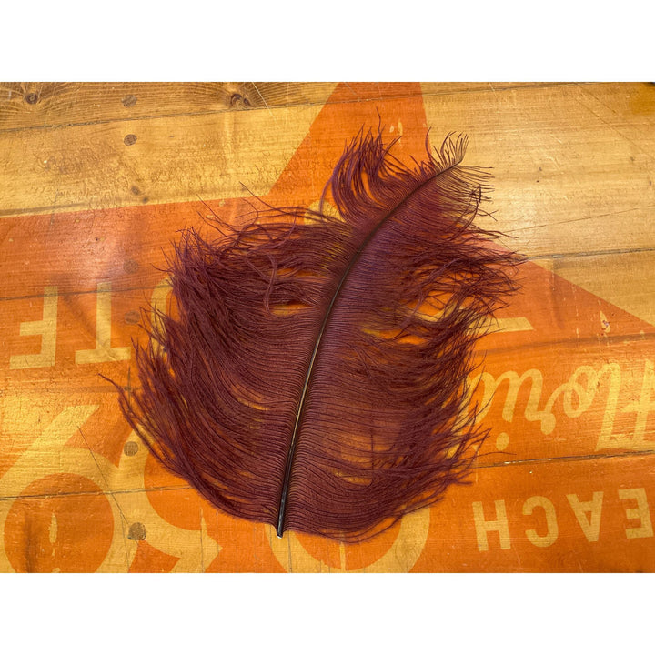 Burgundy maroon ostrich plume fly tying feather rustic