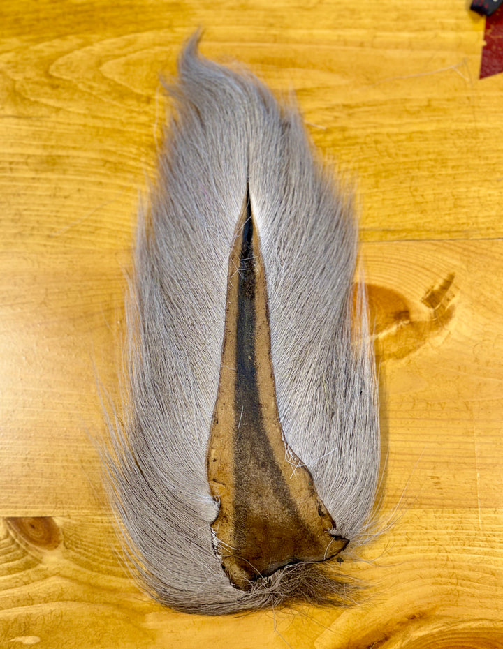 Silver-gray deer tail hair for trout flies