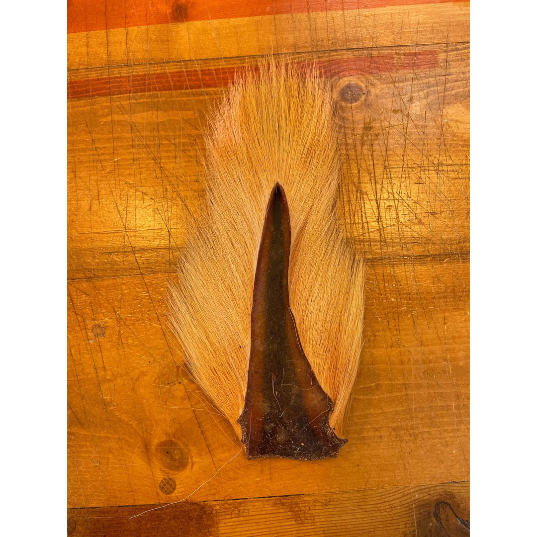 Natural Tan Prime Buck Tail for Flies