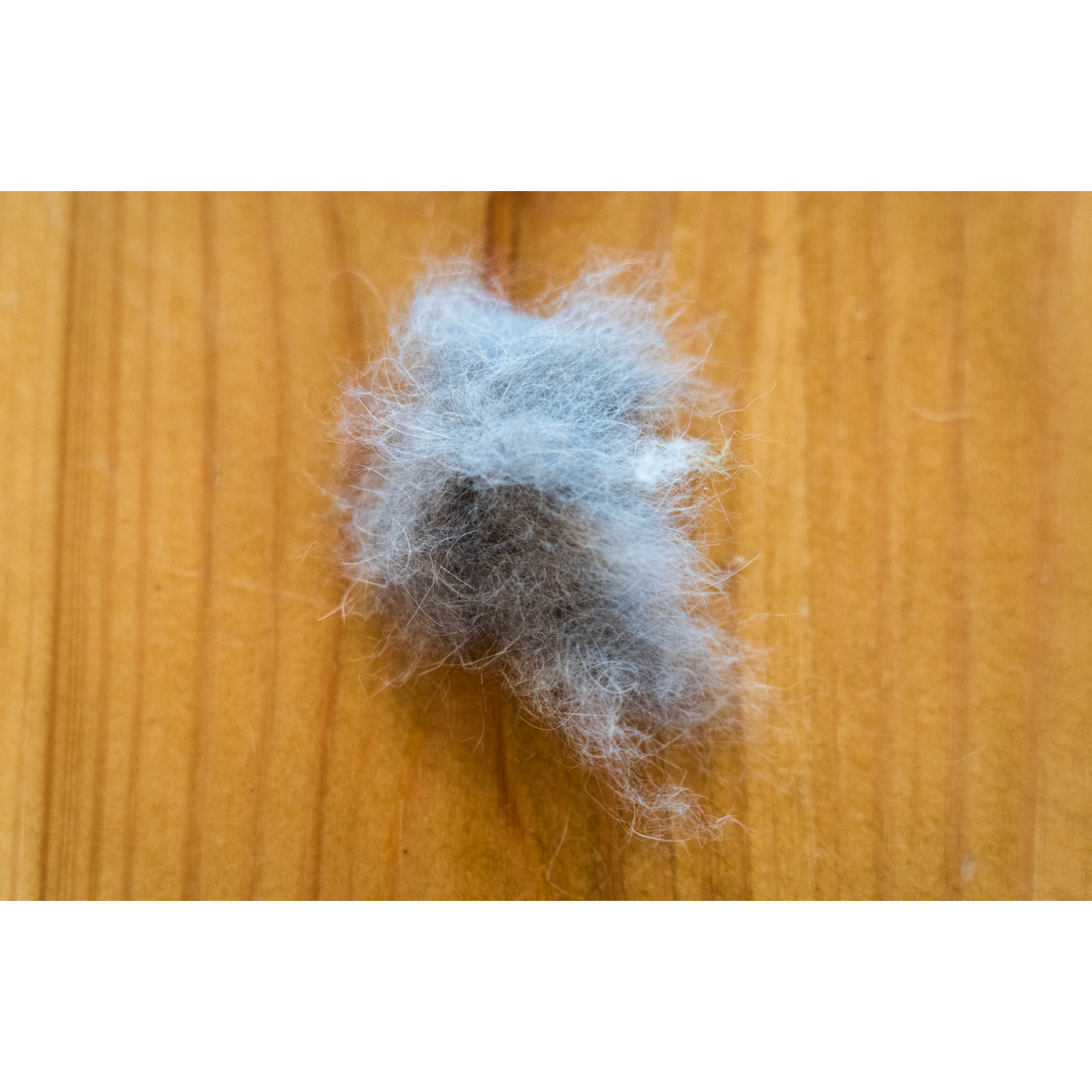 Multi-toned grey speckled rabbit dubbing fiber