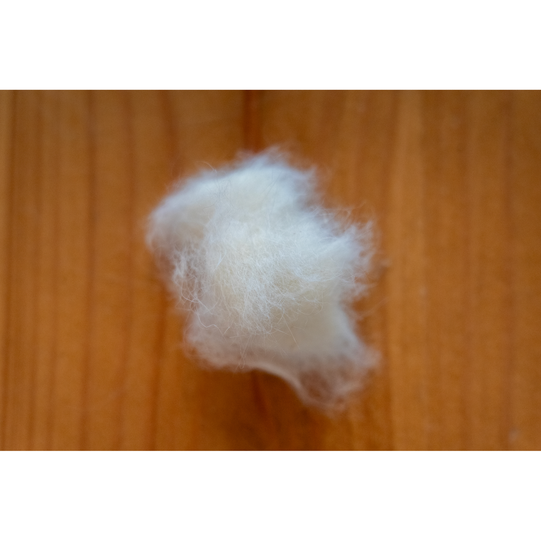 Off-white cream rabbit dubbing for fly tying