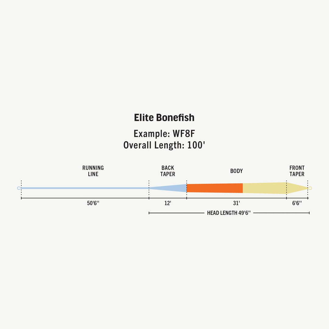 Diagram of Rio Elite Bonefish fly line taper sections and lengths
