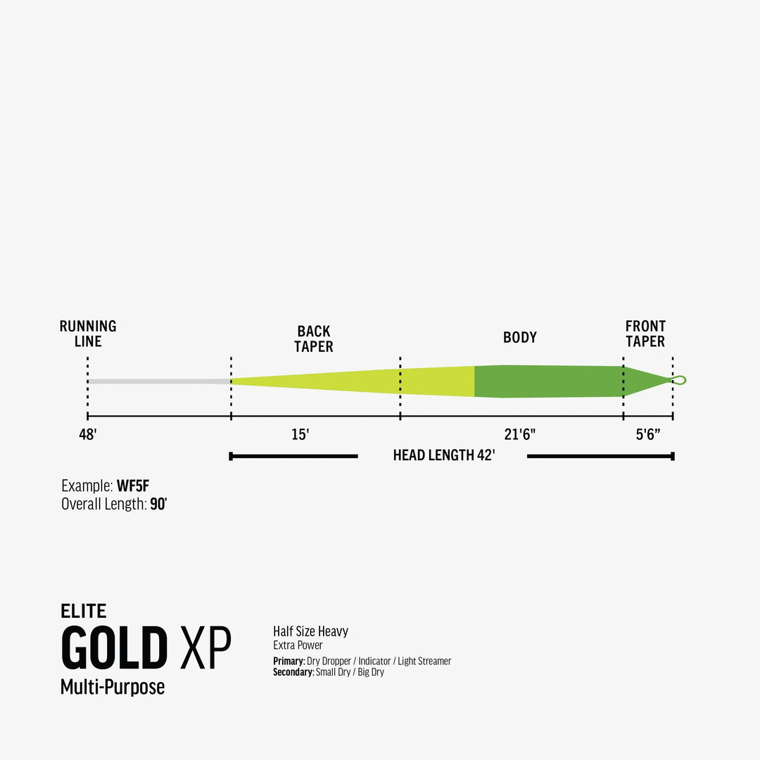 Rio Elite Gold XP fly line taper diagram showing head length and sections