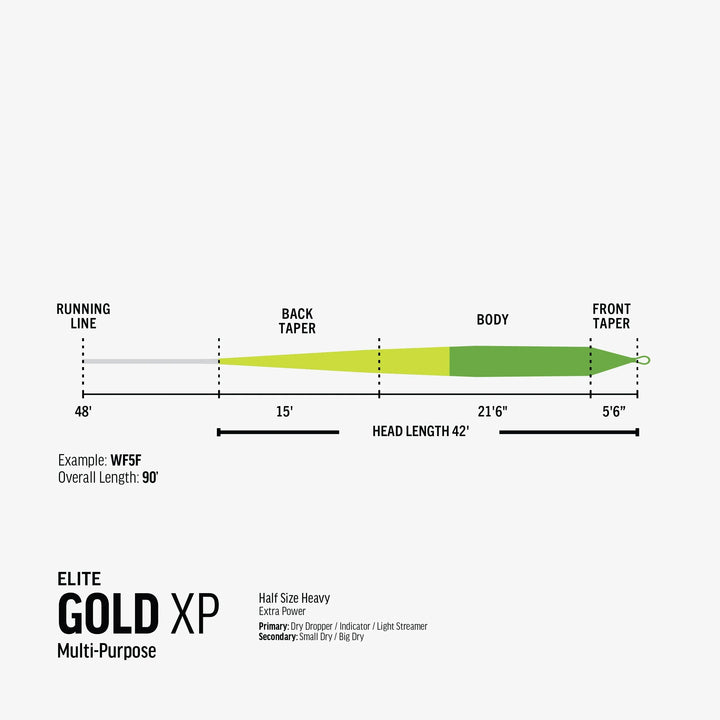 Rio Elite Gold XP fly line taper diagram showing head length and sections
